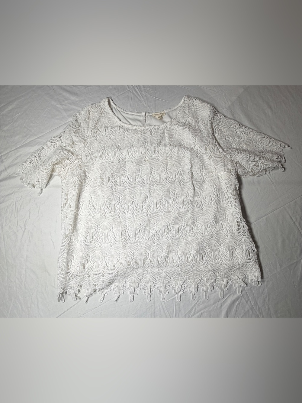Adiva White Scalloped Lace Overlay Blouse Top Plus Size 3X Short Sleeve
